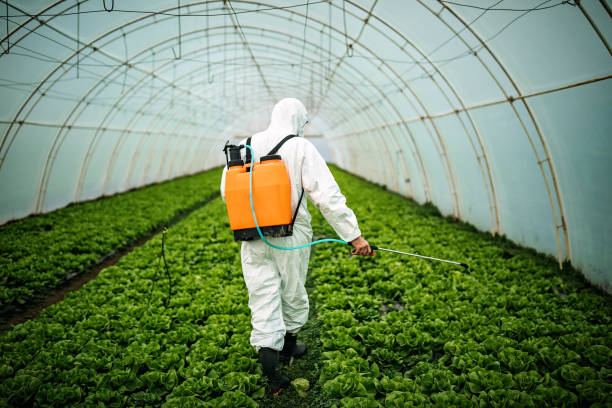 Best Best Pest Control Companies  in West Haverstraw, NY