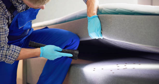 Best Best Pest Control Companies  in West Haverstraw, NY