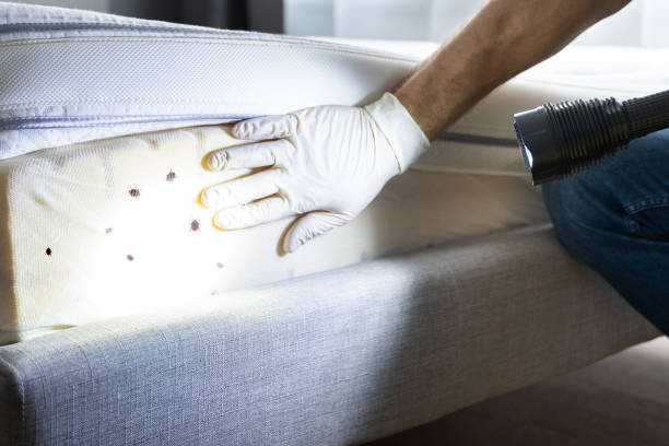Best Pest Prevention Services  in West Haverstraw, NY
