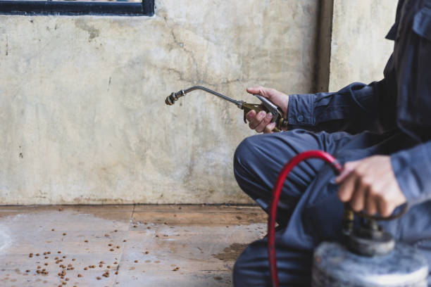 Best Pest Removal Services  in West Haverstraw, NY